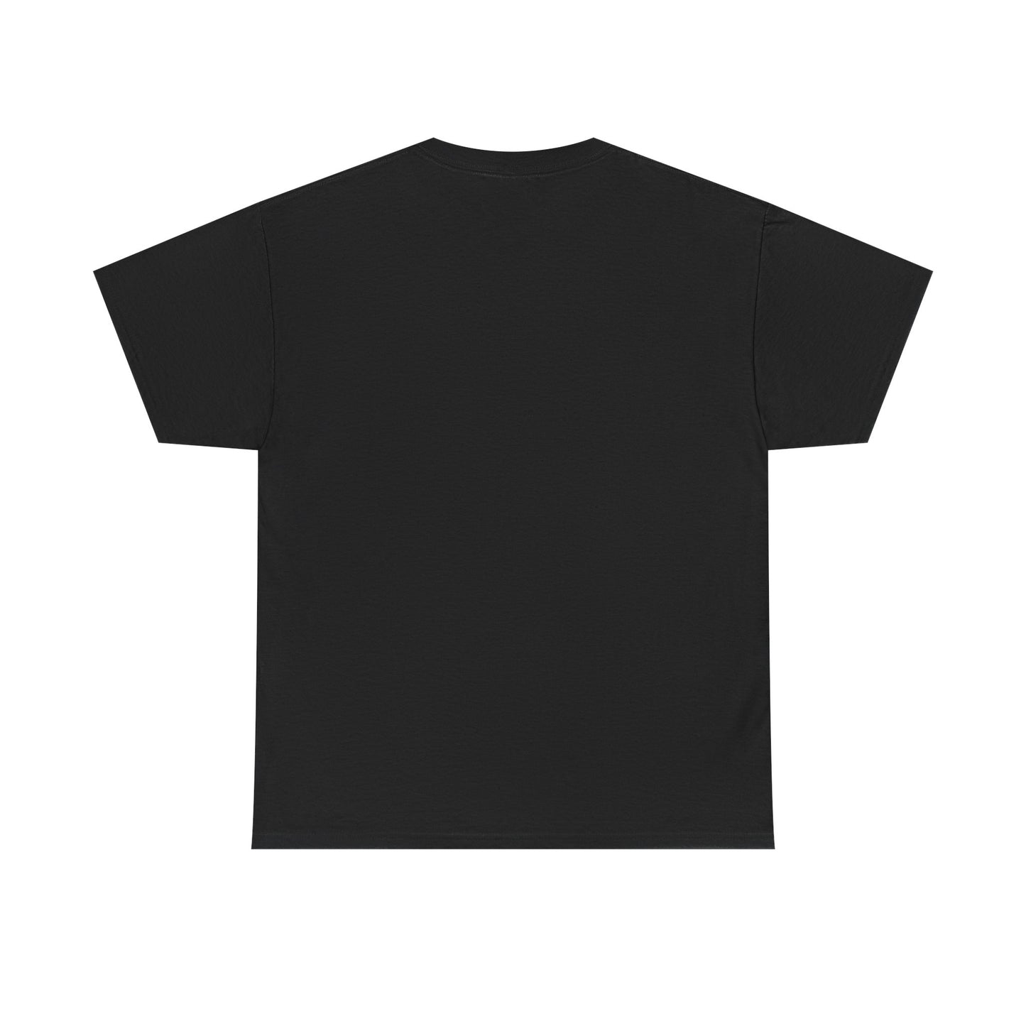 Discipline Unisex Heavy Cotton Tee, Motivational T-Shirt, Inspirational Top, Everyday Wear, Gift for Fitness Lovers, Streetwear Style